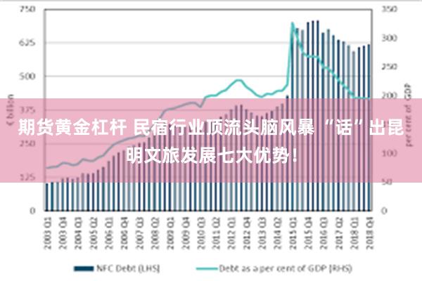 期货黄金杠杆 民宿行业顶流头脑风暴 “话”出昆明文旅发展七大优势！