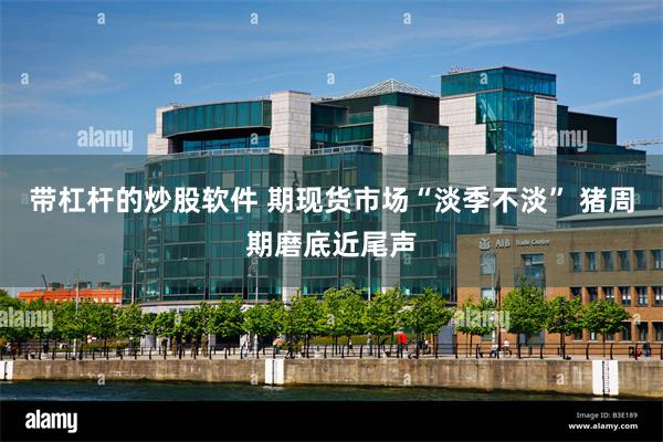 带杠杆的炒股软件 期现货市场“淡季不淡” 猪周期磨底近尾声