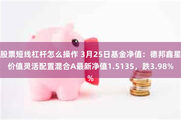 股票短线杠杆怎么操作 3月25日基金净值：德邦鑫星价值灵活配置混合A最新净值1.5135，跌3.98%