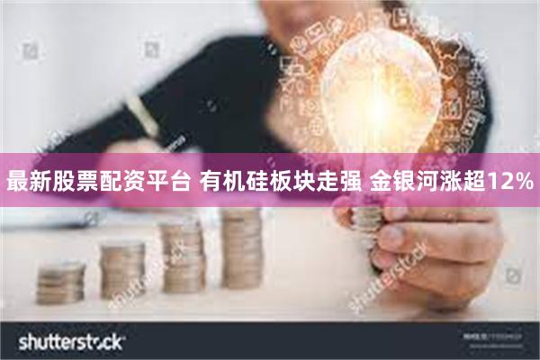 最新股票配资平台 有机硅板块走强 金银河涨超12%