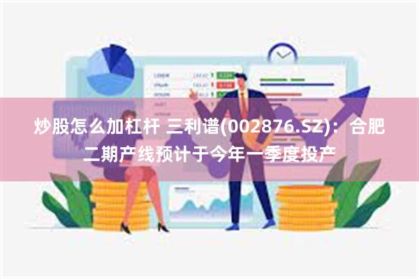炒股怎么加杠杆 三利谱(002876.SZ)：合肥二期产线预计于今年一季度投产