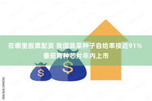 在哪里股票配资 我国蔬菜种子自给率接近91% 番茄育种芯片年内上市