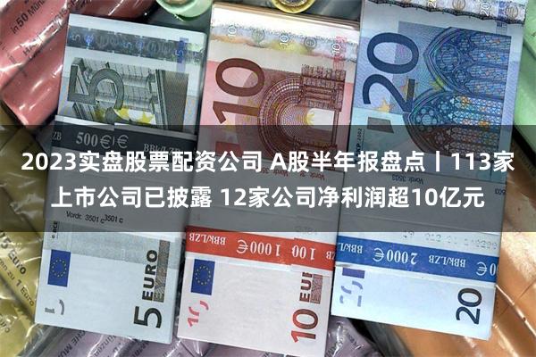2023实盘股票配资公司 A股半年报盘点丨113家上市公司已披露 12家公司净利润超10亿元