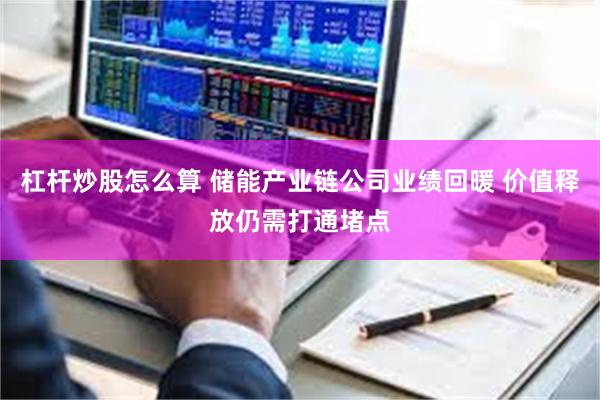 杠杆炒股怎么算 储能产业链公司业绩回暖 价值释放仍需打通堵点