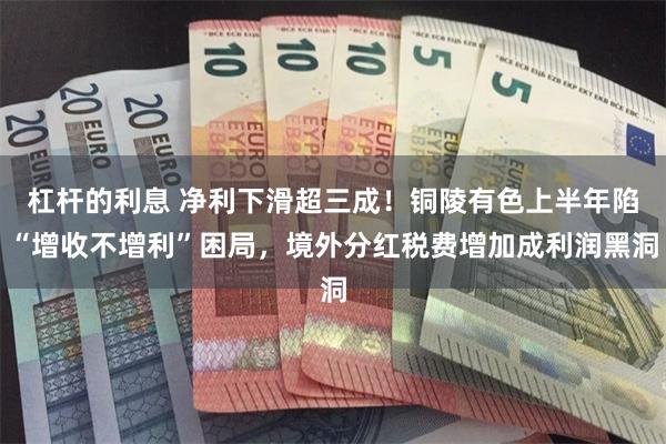 杠杆的利息 净利下滑超三成！铜陵有色上半年陷“增收不增利”困局，境外分红税费增加成利润黑洞