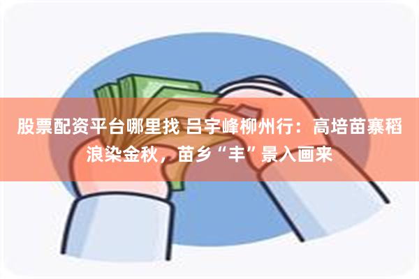 股票配资平台哪里找 吕宇峰柳州行：高培苗寨稻浪染金秋，苗乡“丰”景入画来