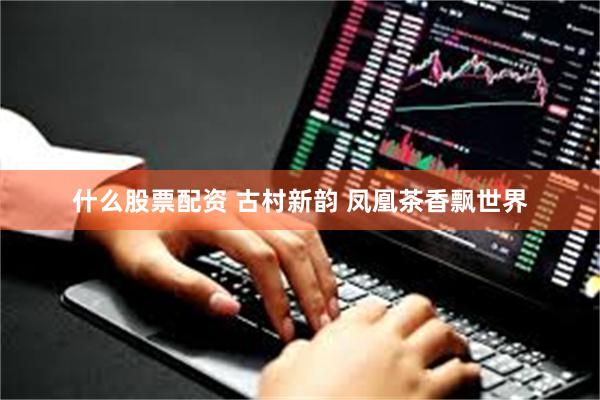 什么股票配资 古村新韵 凤凰茶香飘世界